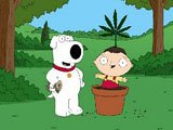 Серия 12 :: "420"